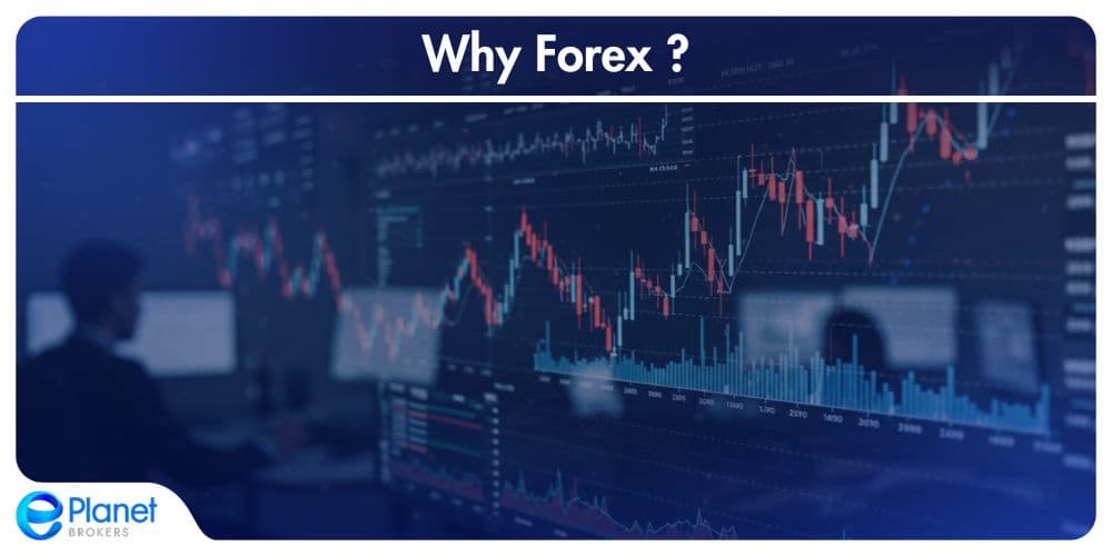 The Forex Market