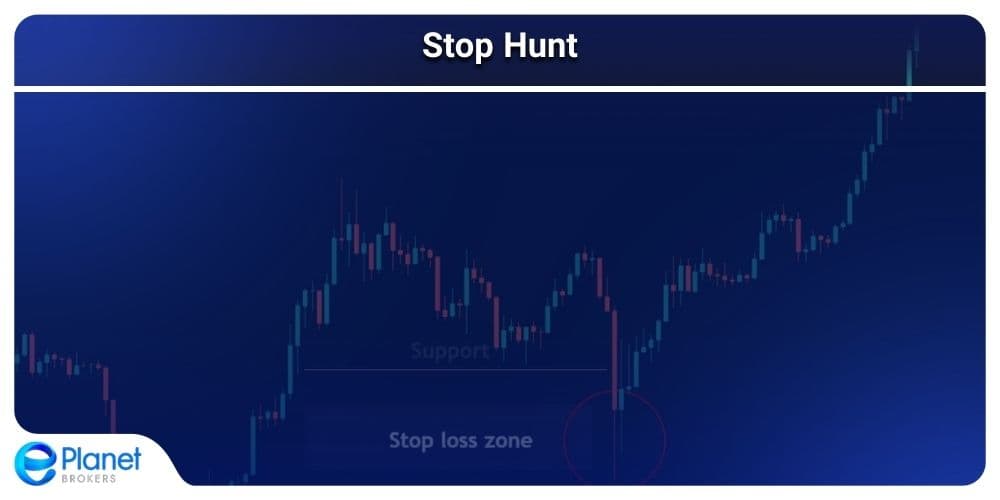 Smart Money Concept showing stoploss hunting