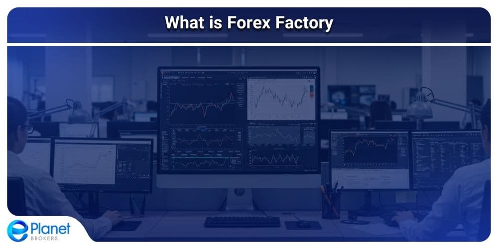 What is Forex Factory