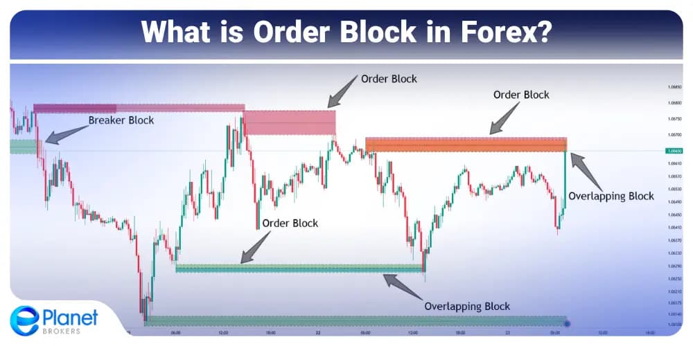 What is Order Block in Forex
