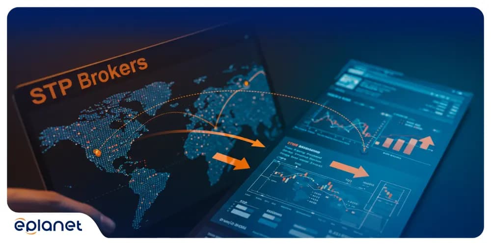 STP Brokers
