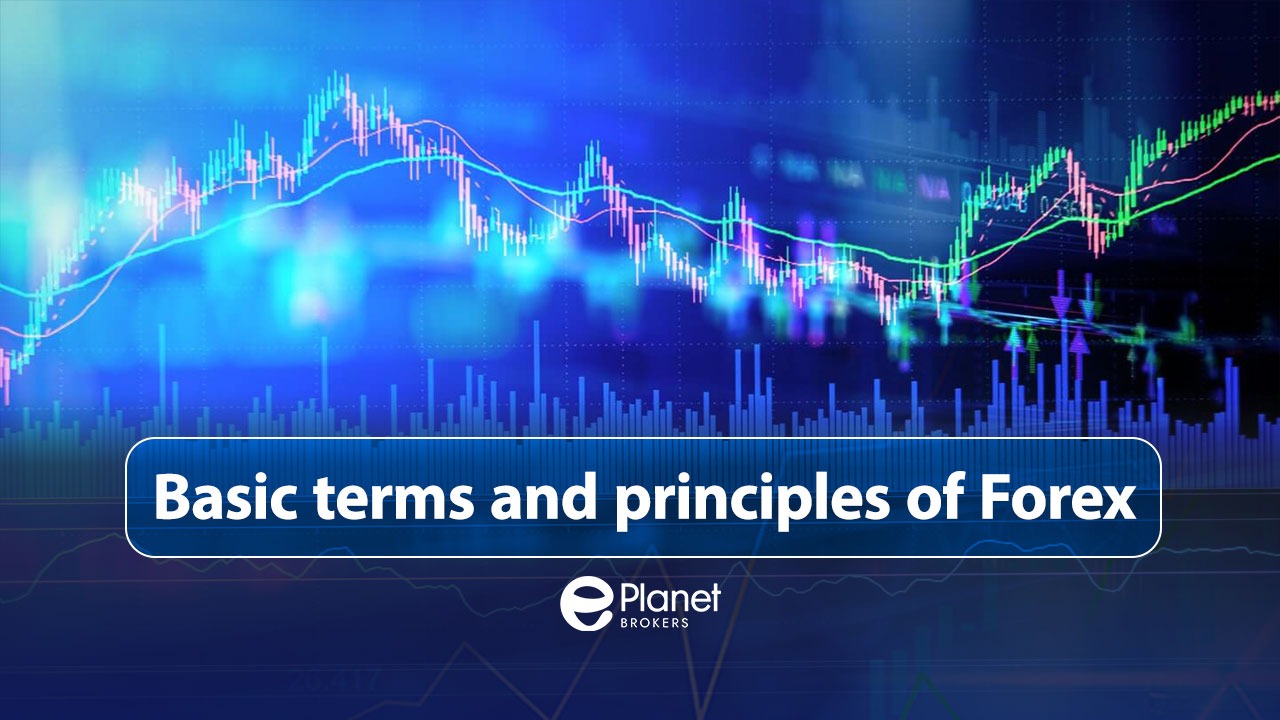 Basic terms and principles of Forex