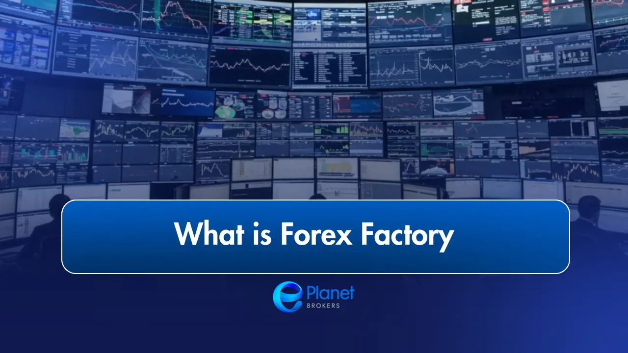 What is Forex Factory preview