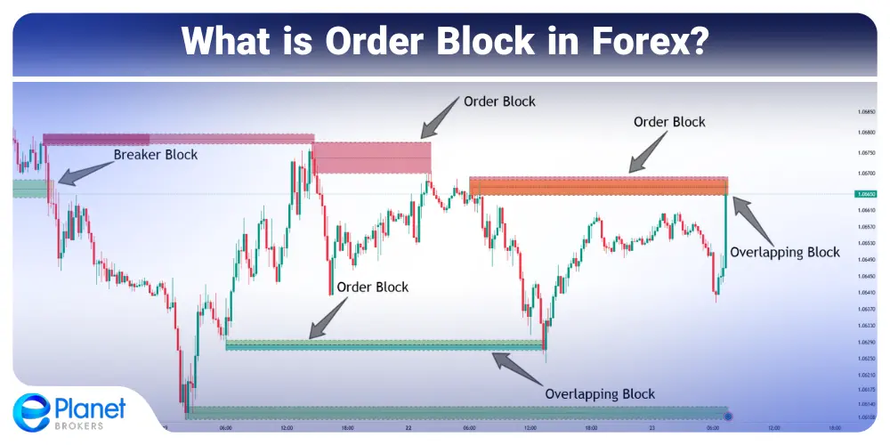 What is Order Block in Forex