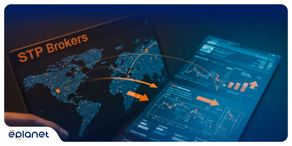 STP Brokers